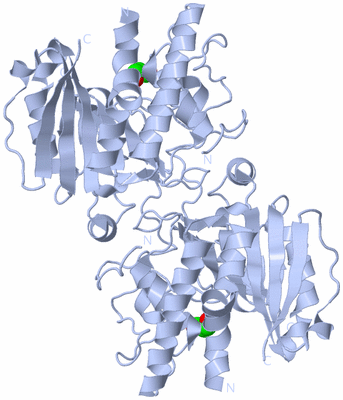 Image Biological Unit 2