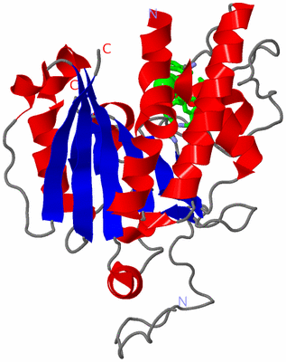 Image Asym. Unit - sites