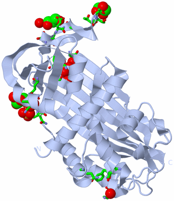 Image Biol. Unit 1 - sites