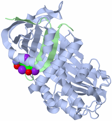 Image Biological Unit 3