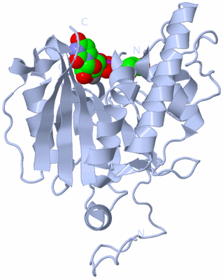 Image Biological Unit 1