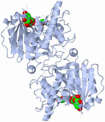 Image Biological Unit 2