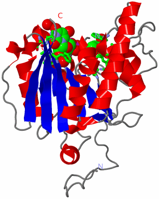 Image Asym. Unit - sites