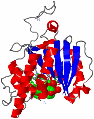 Image Asym. Unit - sites