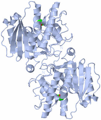 Image Biological Unit 2