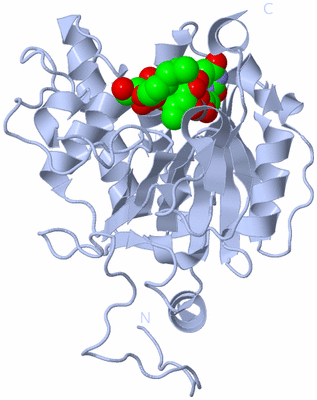 Image Biological Unit 1