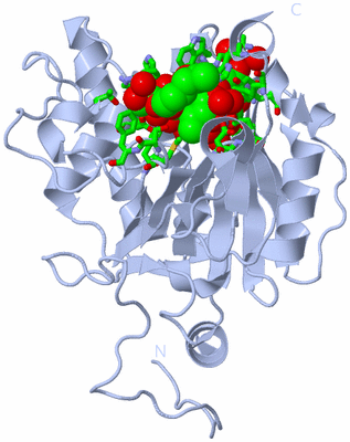 Image Biol. Unit 1 - sites