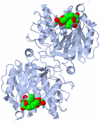 Image Biological Unit 2