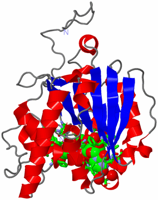 Image Asym. Unit - sites