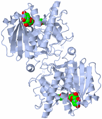 Image Biological Unit 2