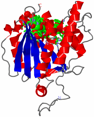 Image Asym. Unit - sites