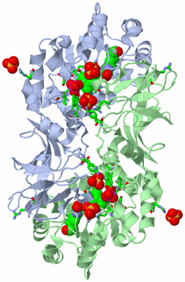 Image Biol. Unit 1 - sites