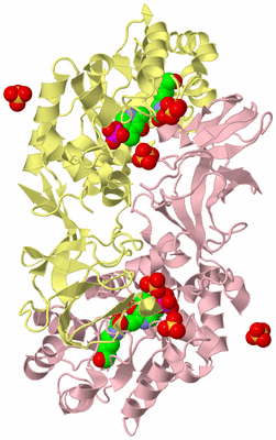 Image Biological Unit 2