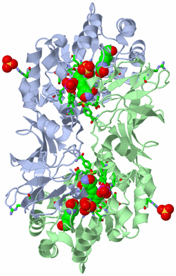 Image Biol. Unit 1 - sites