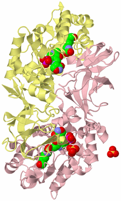 Image Biological Unit 2