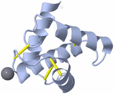 Image Biological Unit 1