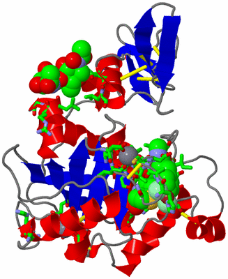 Image Asym./Biol. Unit - sites