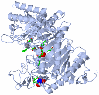 Image Biol. Unit 1 - sites