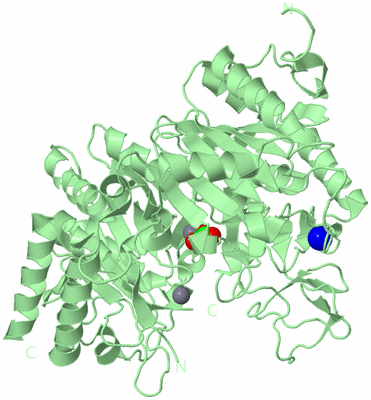 Image Biological Unit 2