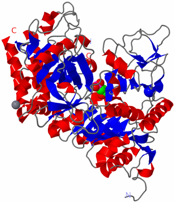 Image Asym./Biol. Unit