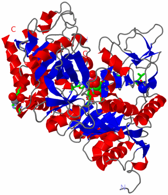 Image Asym./Biol. Unit - sites