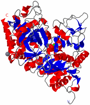 Image Asym./Biol. Unit