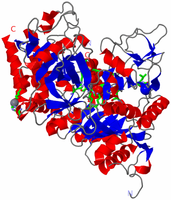 Image Asym./Biol. Unit - sites