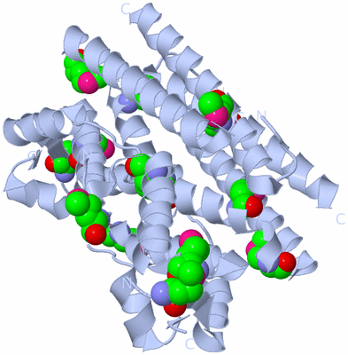 Image Biological Unit 1