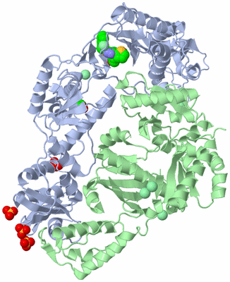 Image Asym./Biol. Unit
