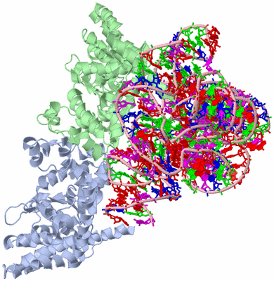 Image Biological Unit 1