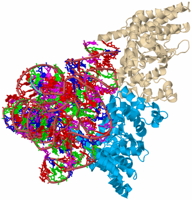 Image Biological Unit 3