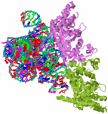 Image Biological Unit 4