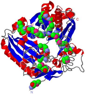 Image Asym./Biol. Unit