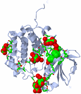 Image Biol. Unit 1 - sites