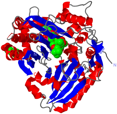 Image Asym./Biol. Unit