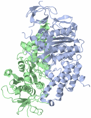 Image Asym./Biol. Unit