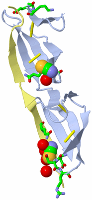 Image Biol. Unit 1 - sites