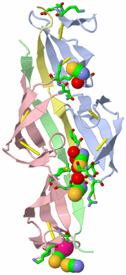 Image Asym. Unit - sites