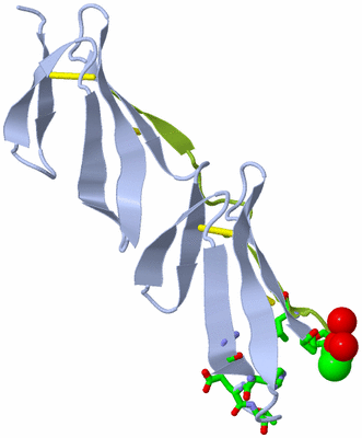 Image Biol. Unit 1 - sites