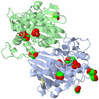 Image Asym./Biol. Unit