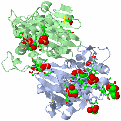 Image Asym./Biol. Unit - sites