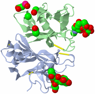 Image Biological Unit 1