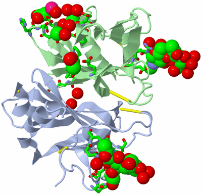 Image Biol. Unit 1 - sites