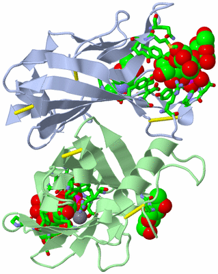 Image Asym./Biol. Unit - sites