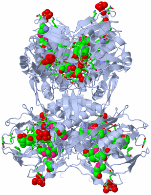 Image Biol. Unit 1 - sites