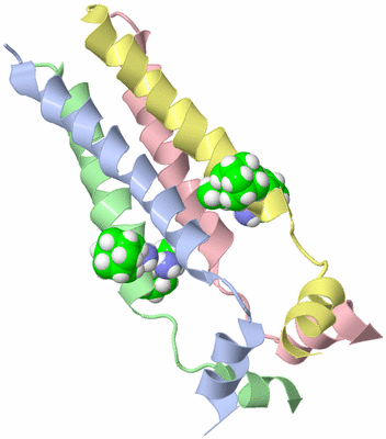 Image NMR Structure - model 1