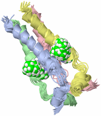 Image NMR Structure - all models