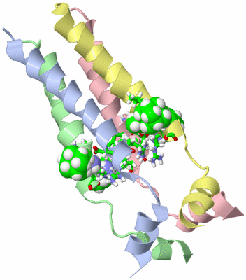 Image NMR Structure - model 1, sites