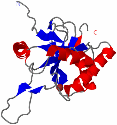 Image NMR Structure - model 1