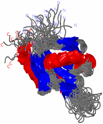 Image NMR Structure - all models